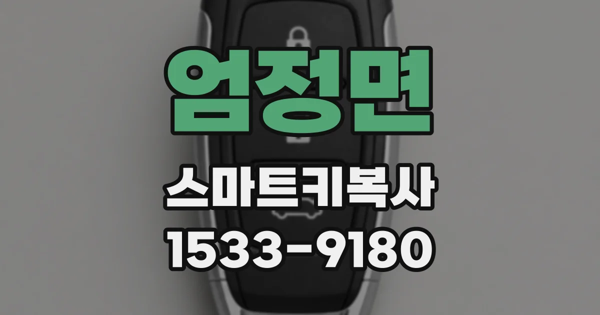 엄정면 스마트키복사