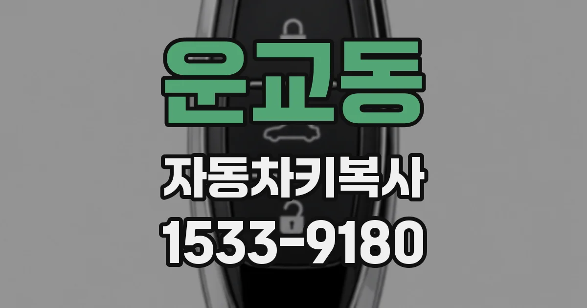 운교동 자동차키복사