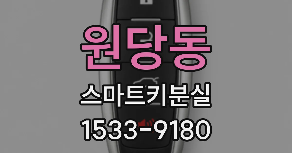 원당동 스마트키분실