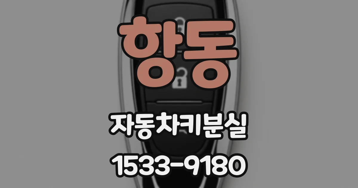 항동 자동차키분실