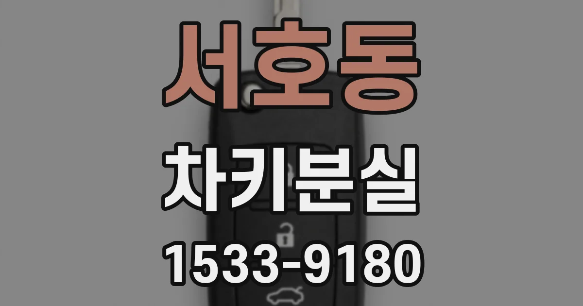 서호동 차키분실