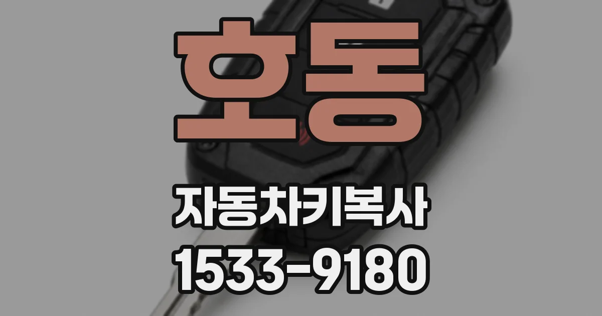 호동 자동차키복사
