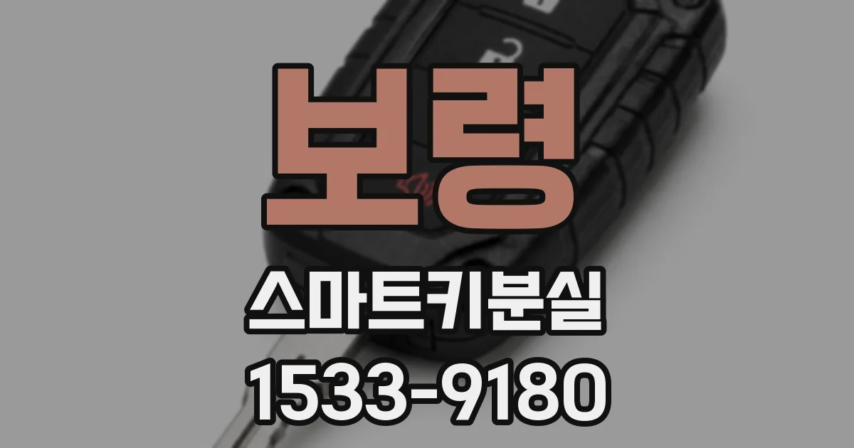 보령 스마트키분실