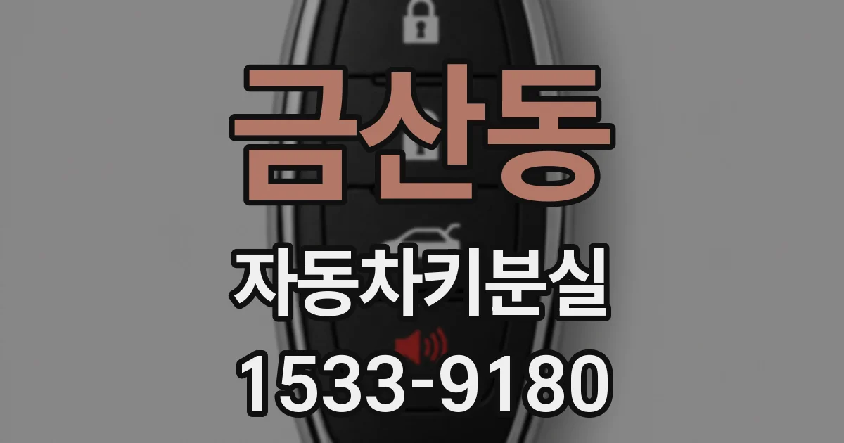 금산동 자동차키분실