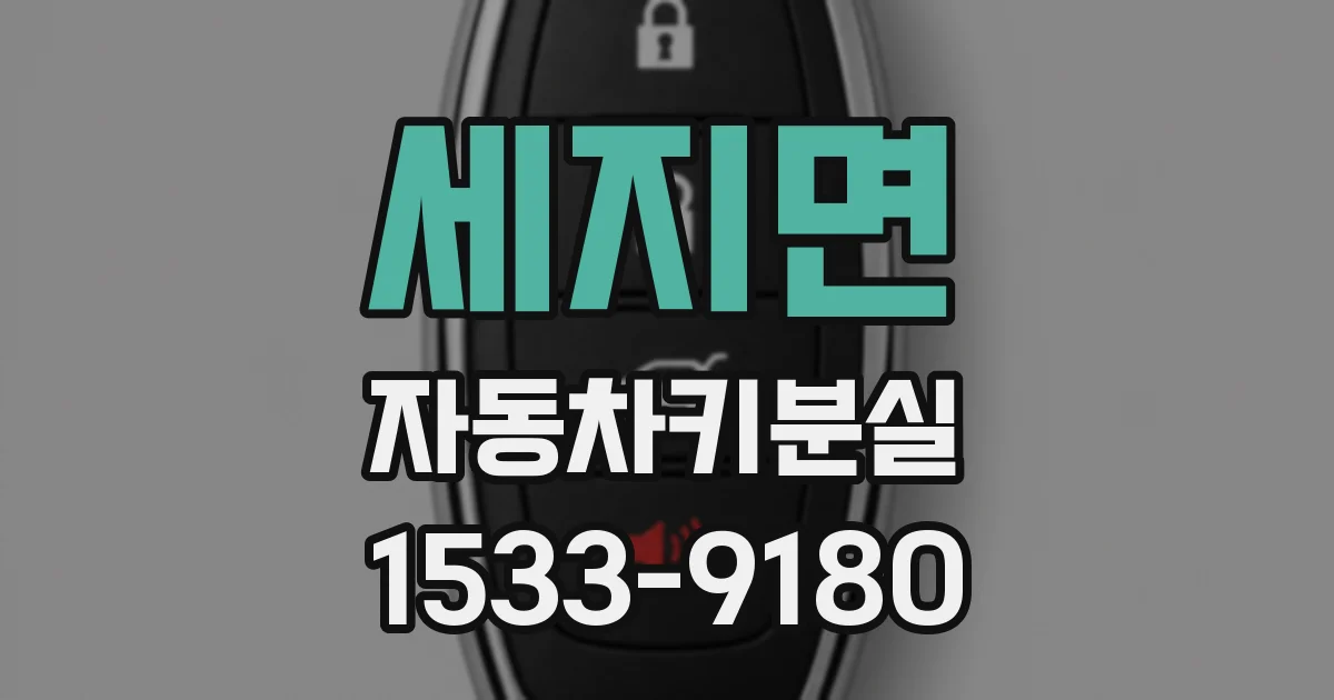 세지면 자동차키분실