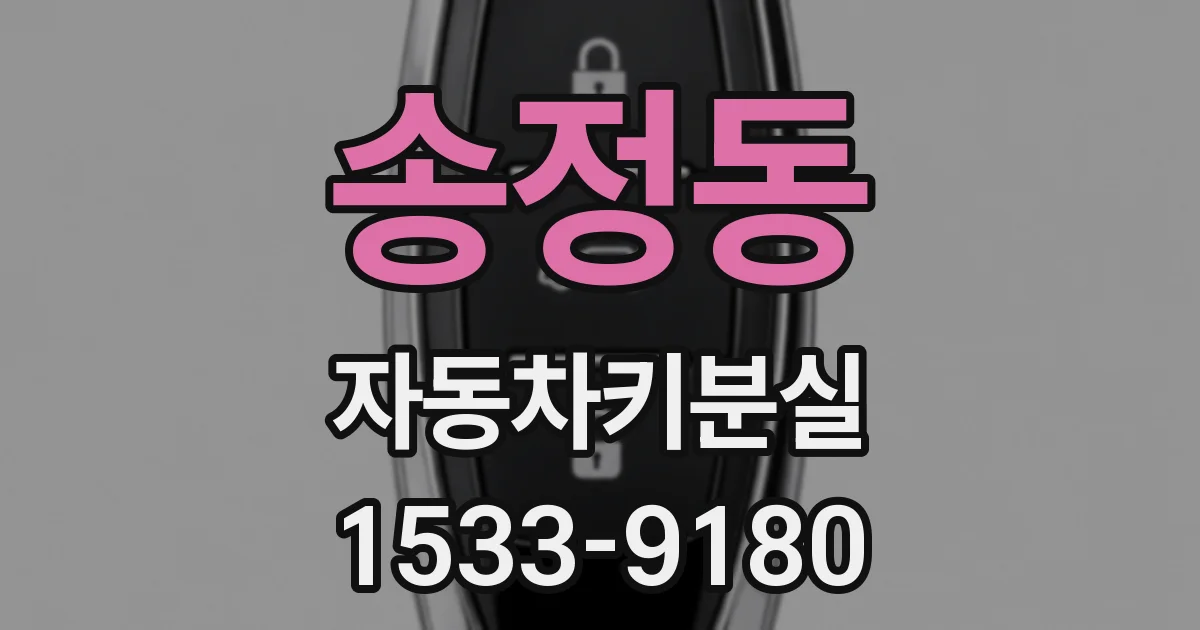 송정동 자동차키분실
