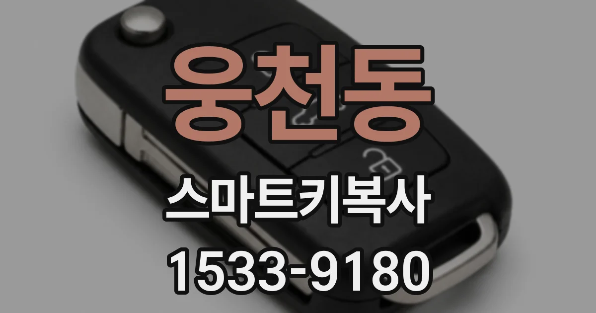 웅천동 스마트키복사
