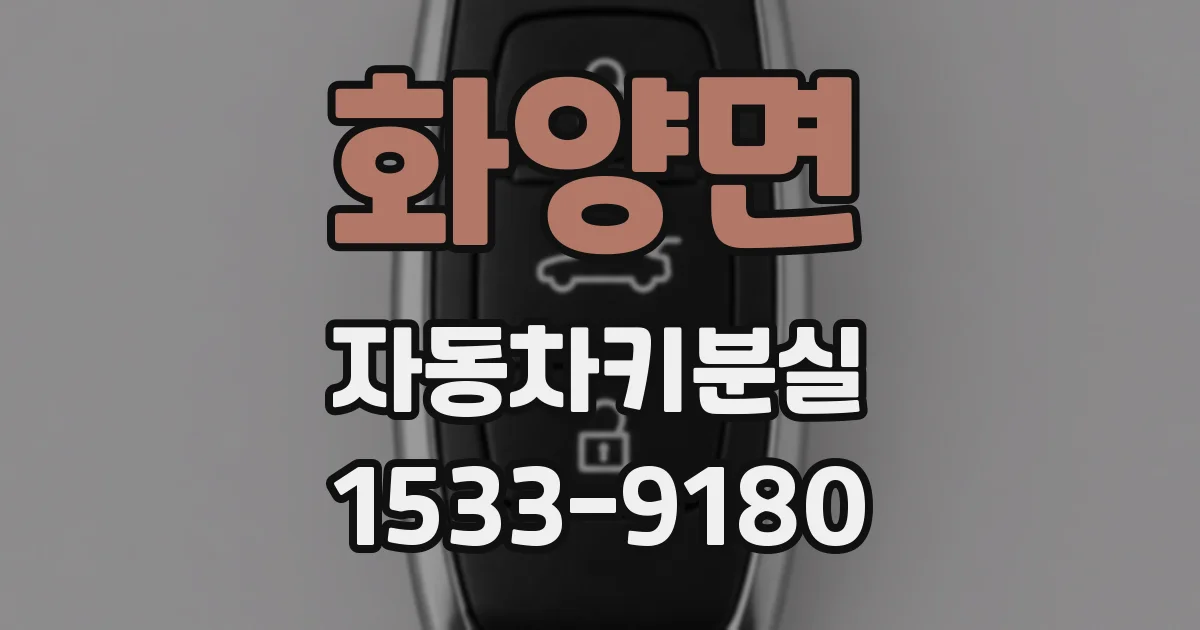 화양면 자동차키분실