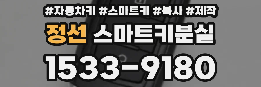 정선 스마트키분실