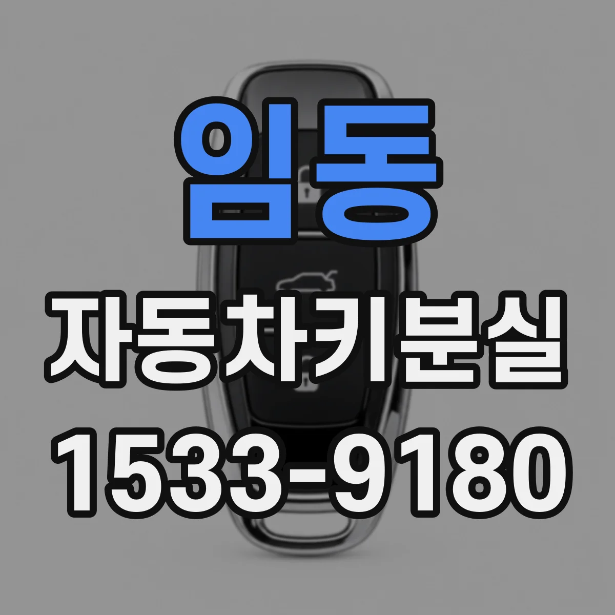 임동 자동차키분실