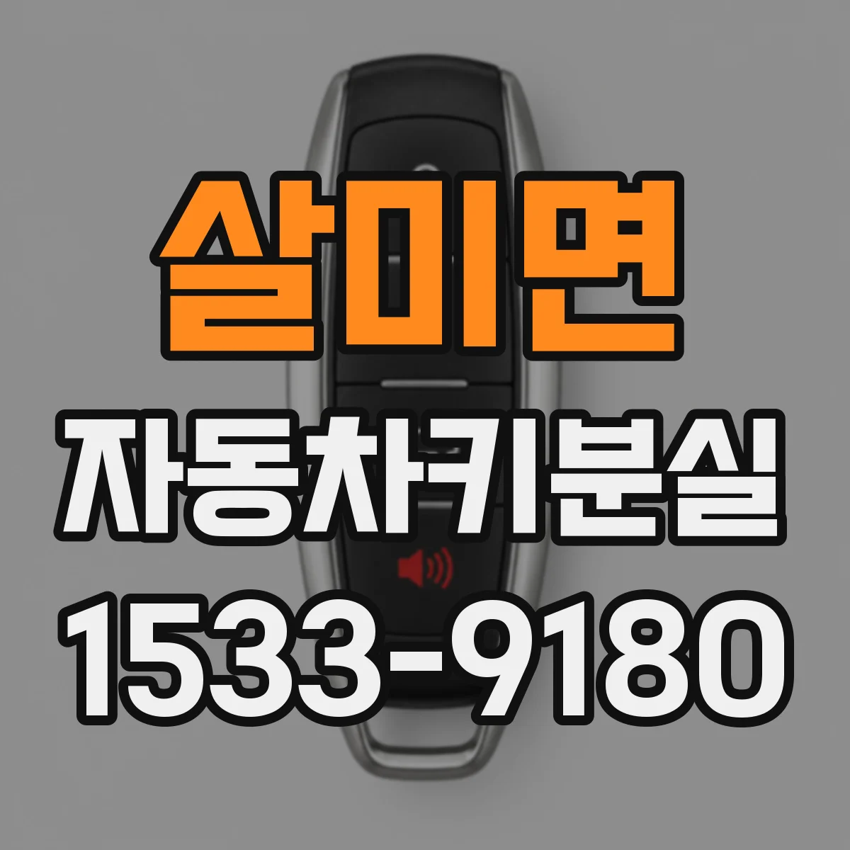 살미면 자동차키분실