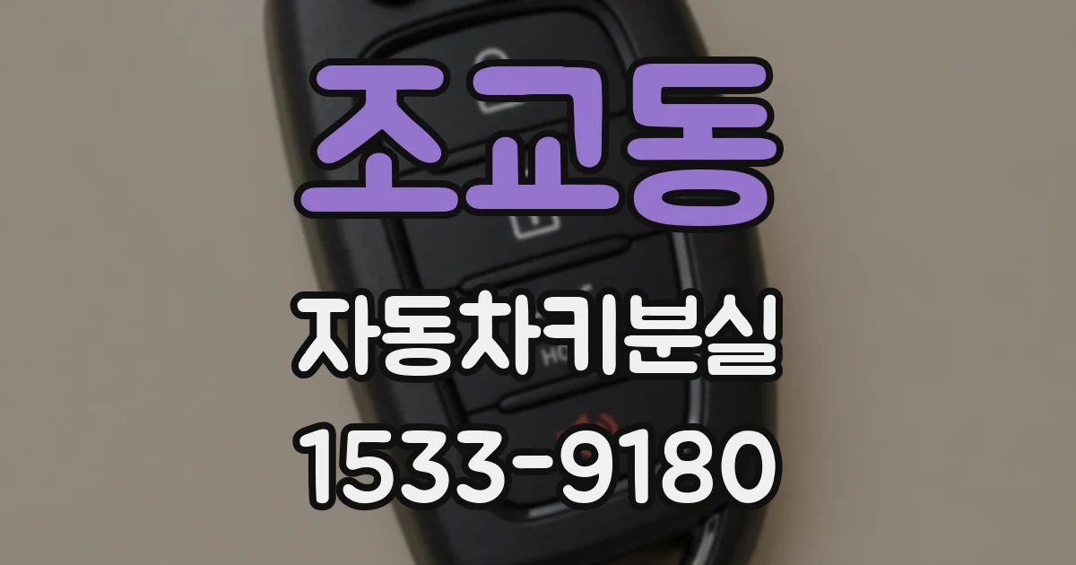 조교동 자동차키분실