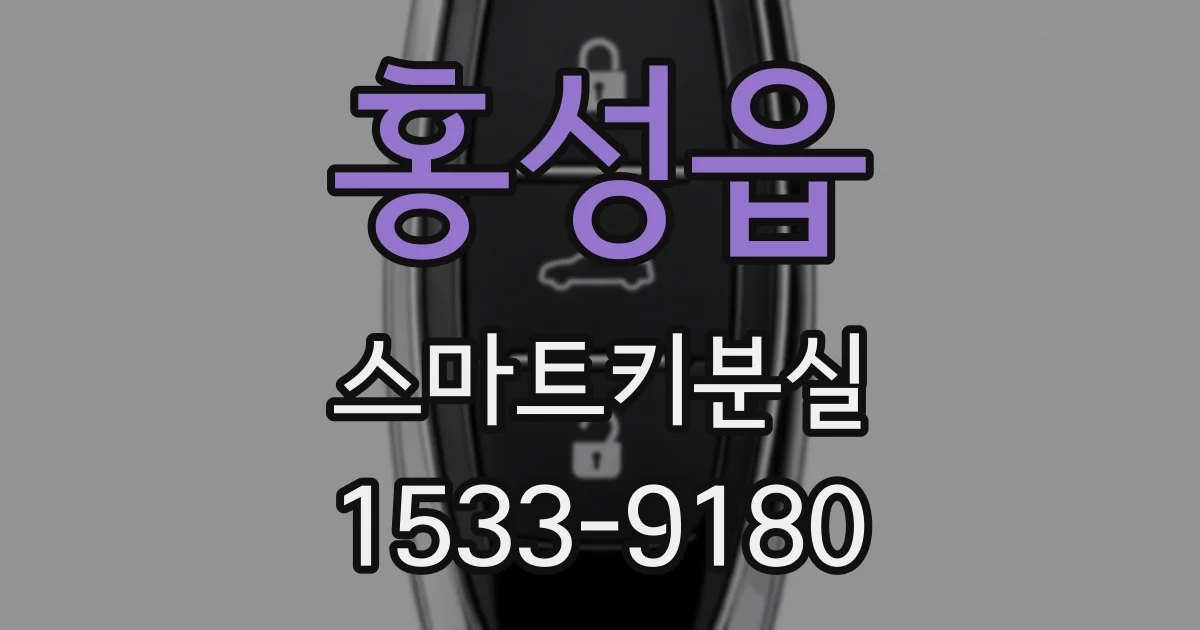 홍성읍 스마트키분실
