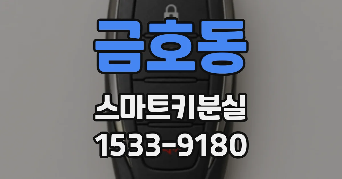 금호동 스마트키분실