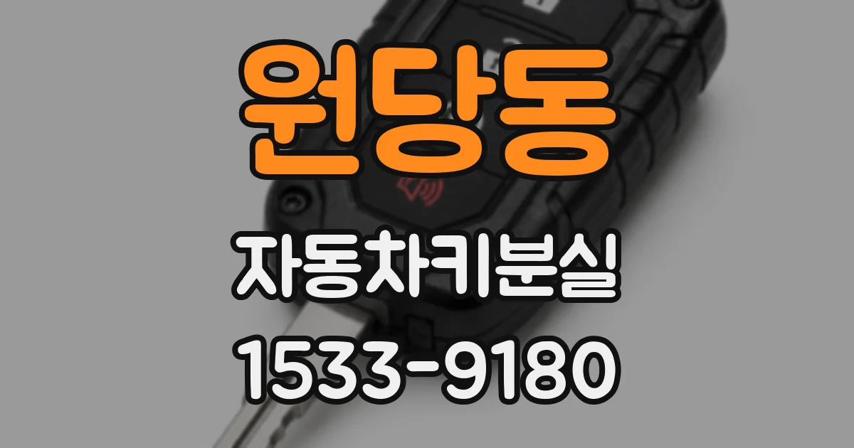 원당동 자동차키분실