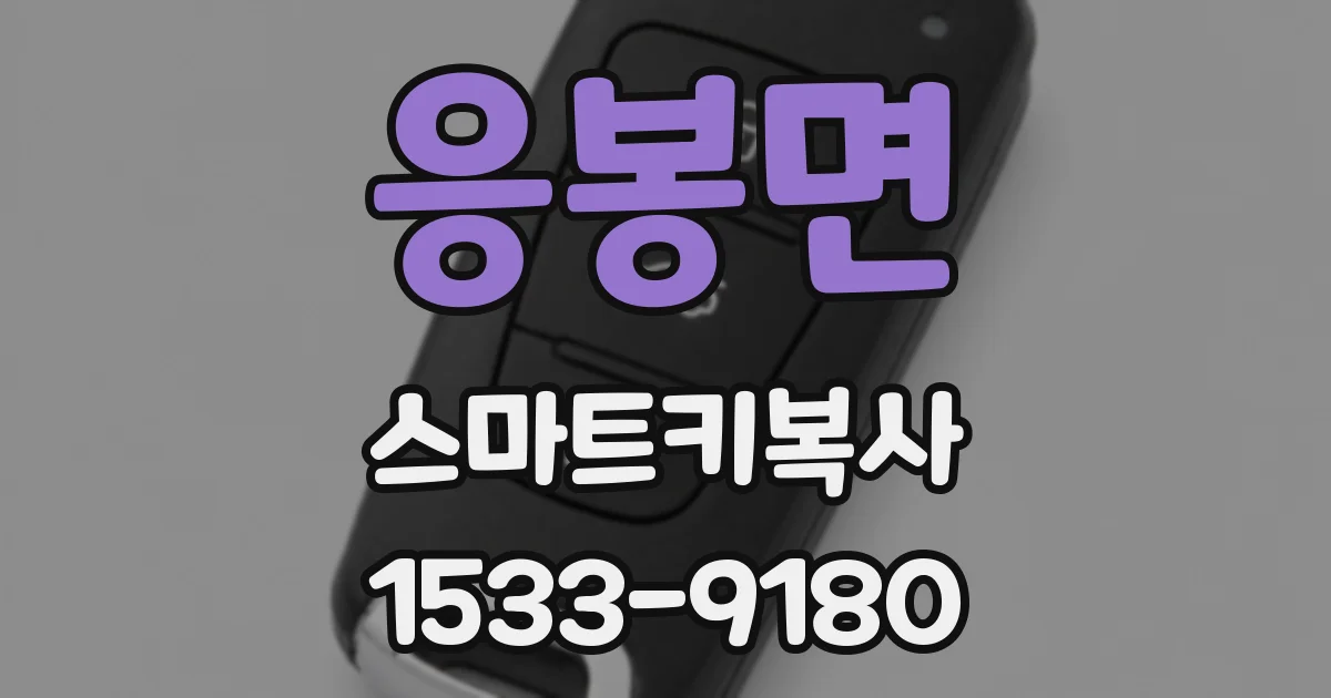 응봉면 스마트키복사