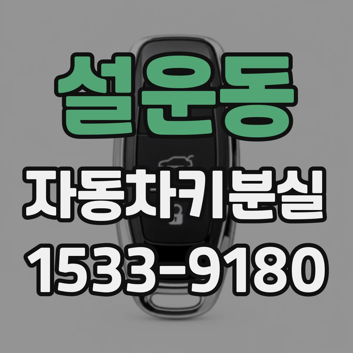 설운동 자동차키분실