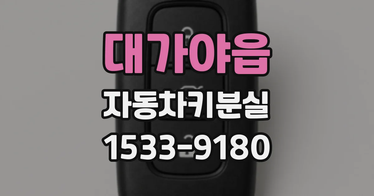 대가야읍 자동차키분실