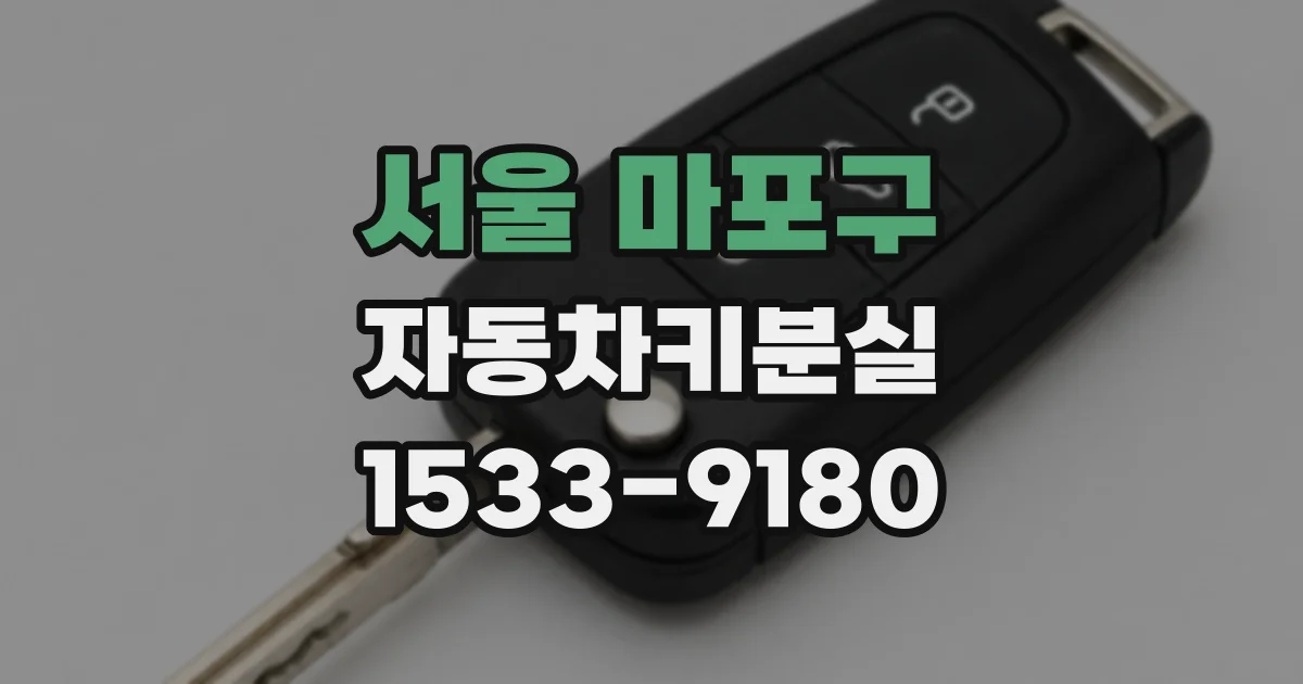 서울 마포구 자동차키분실