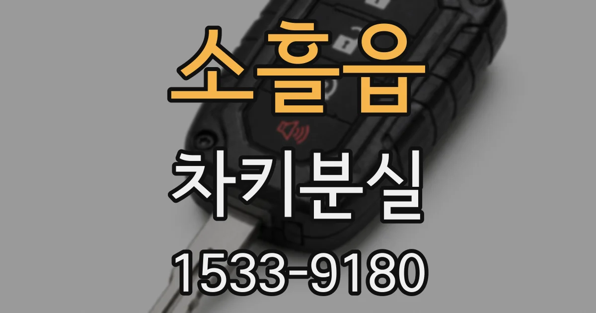 소흘읍 차키분실