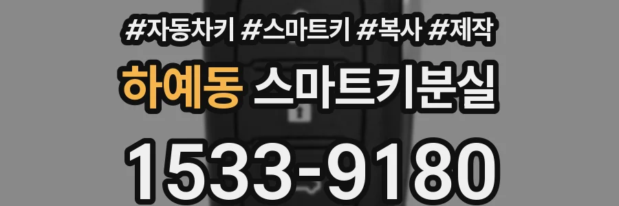 하예동 스마트키분실