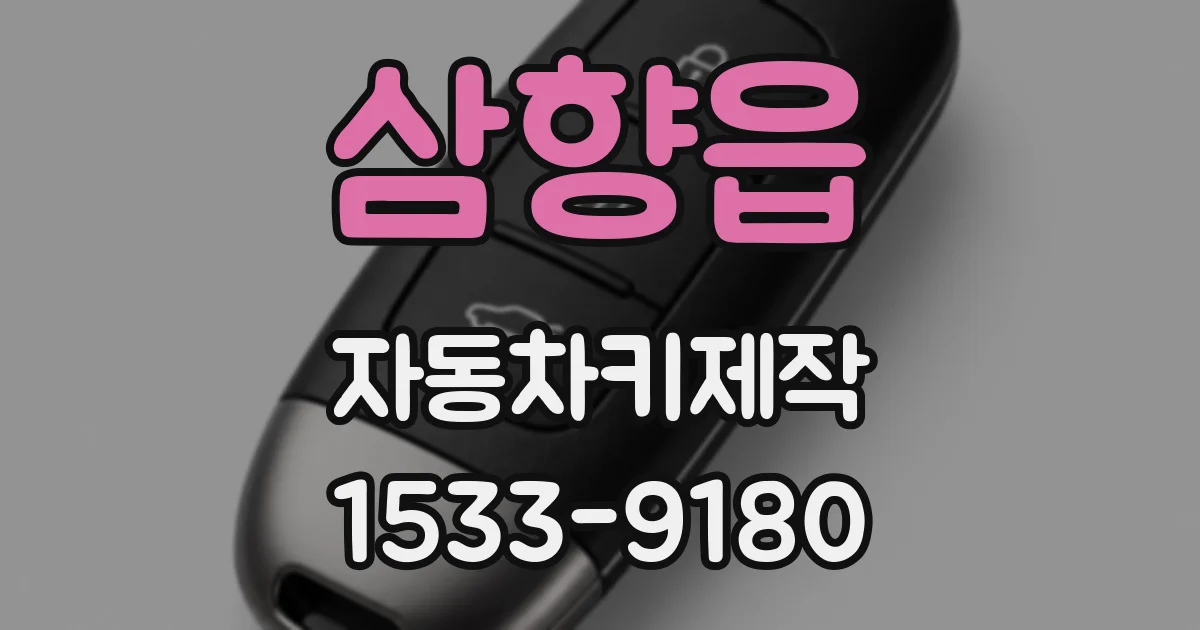 삼향읍 자동차키제작