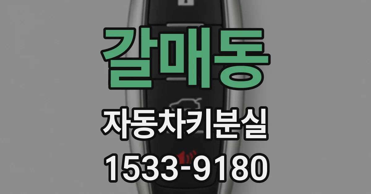 갈매동 자동차키분실