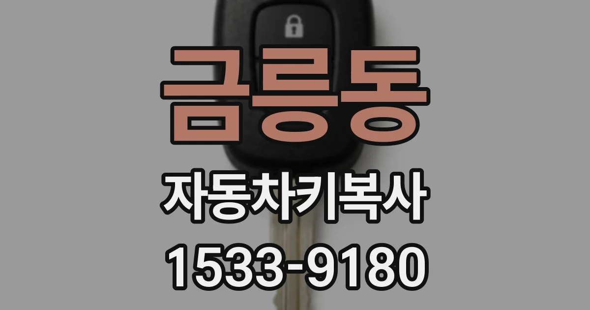 금릉동 자동차키복사