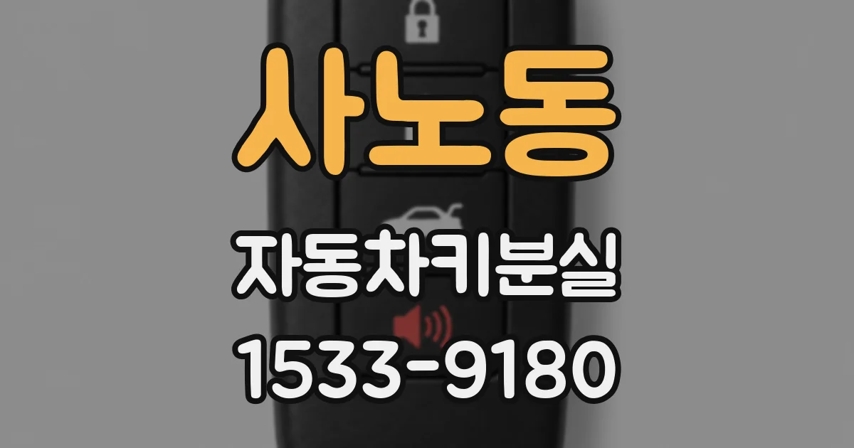 사노동 자동차키분실