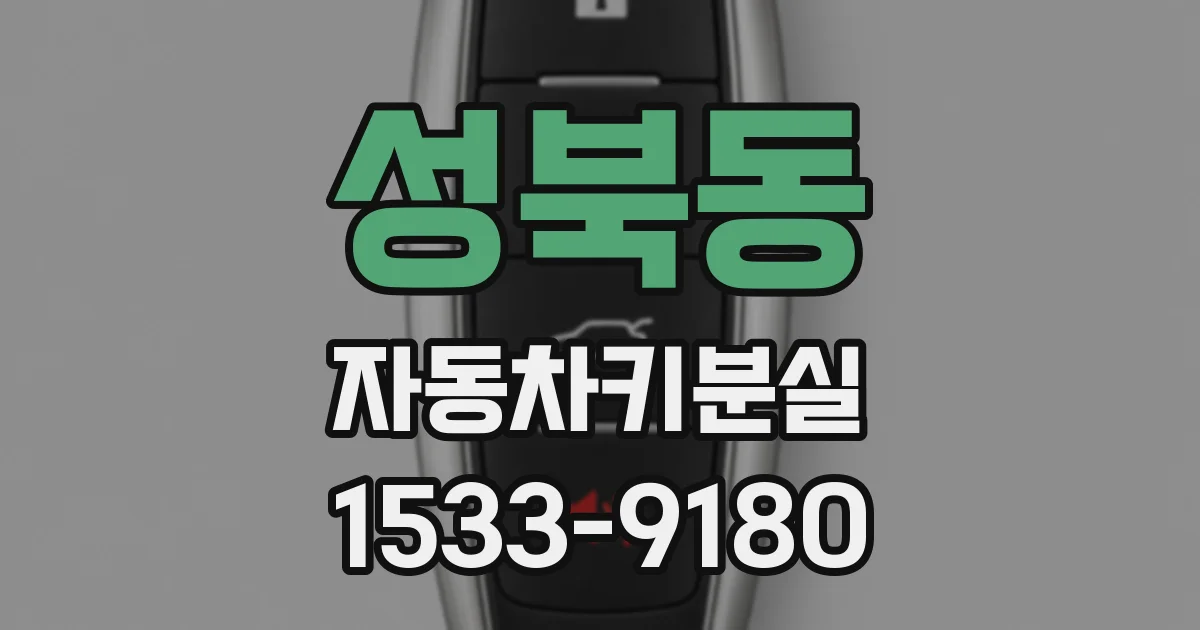 성북동 자동차키분실