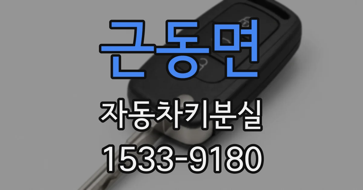 근동면 자동차키분실