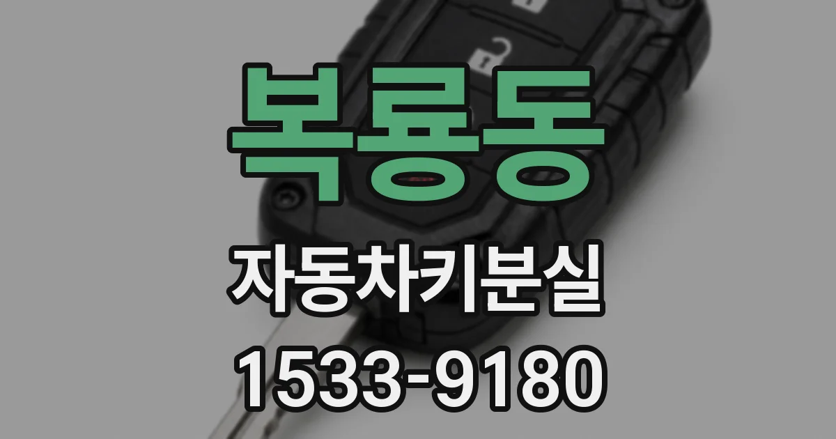 복룡동 자동차키분실