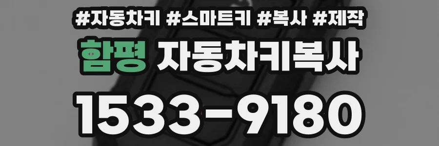함평 자동차키복사
