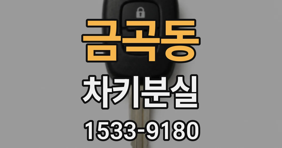 금곡동 차키분실