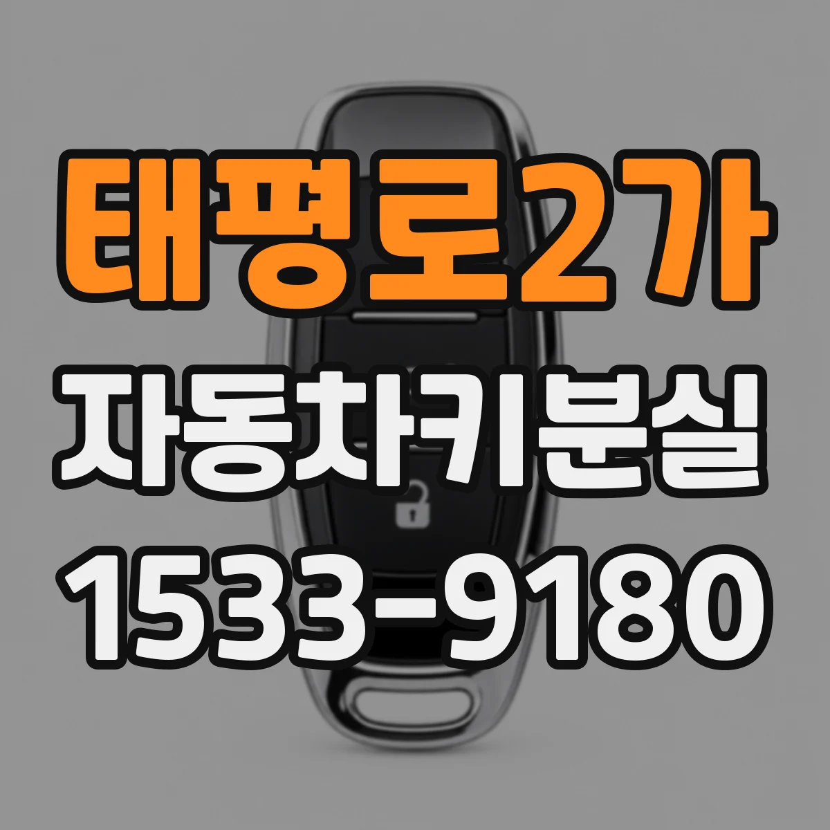 태평로2가 자동차키분실