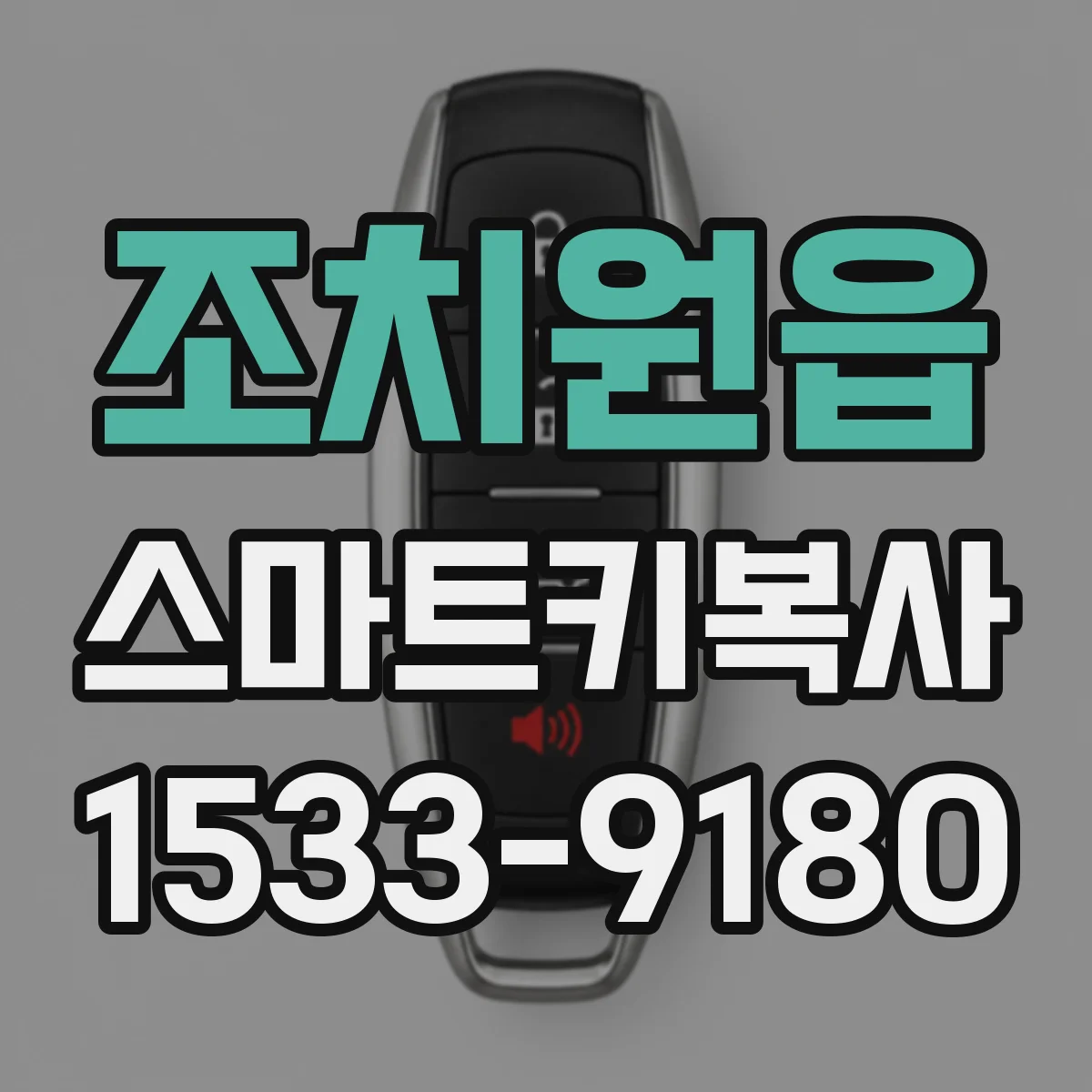 조치원읍 스마트키복사
