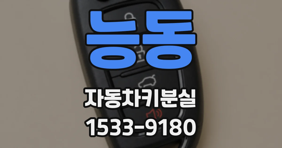 능동 자동차키분실