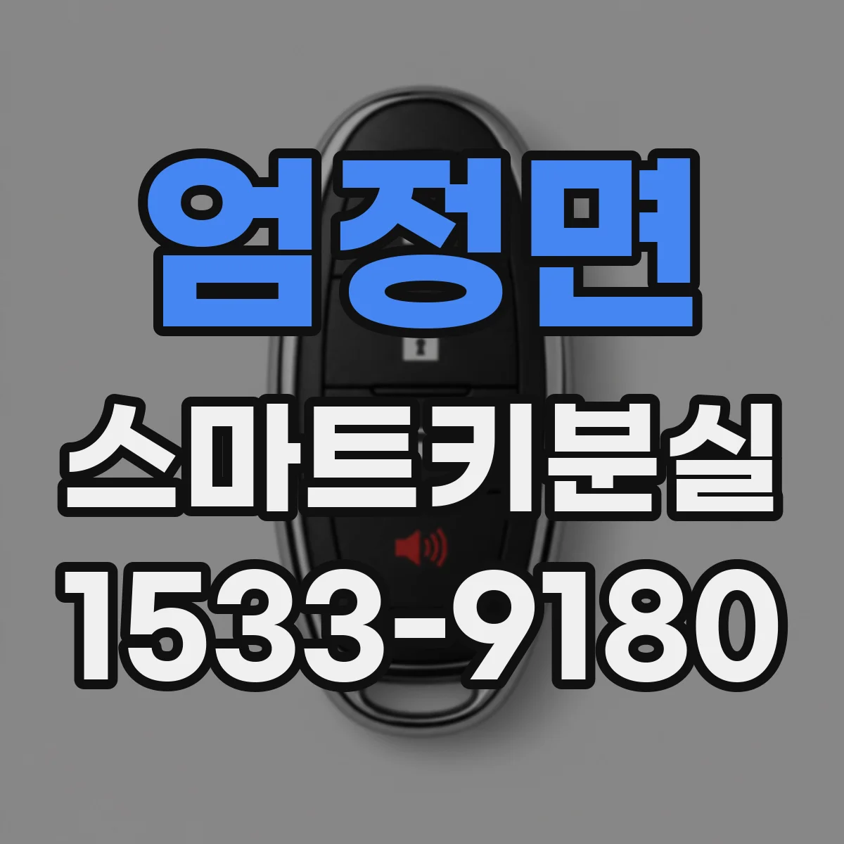 엄정면 스마트키분실