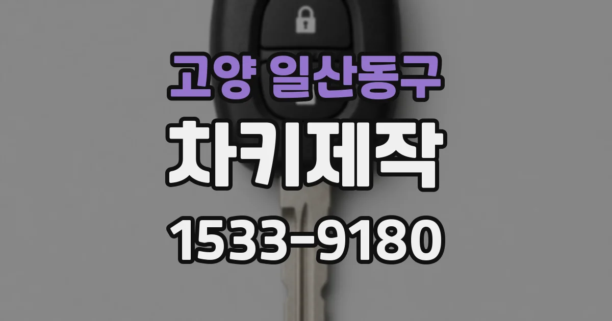 고양 일산동구 차키제작