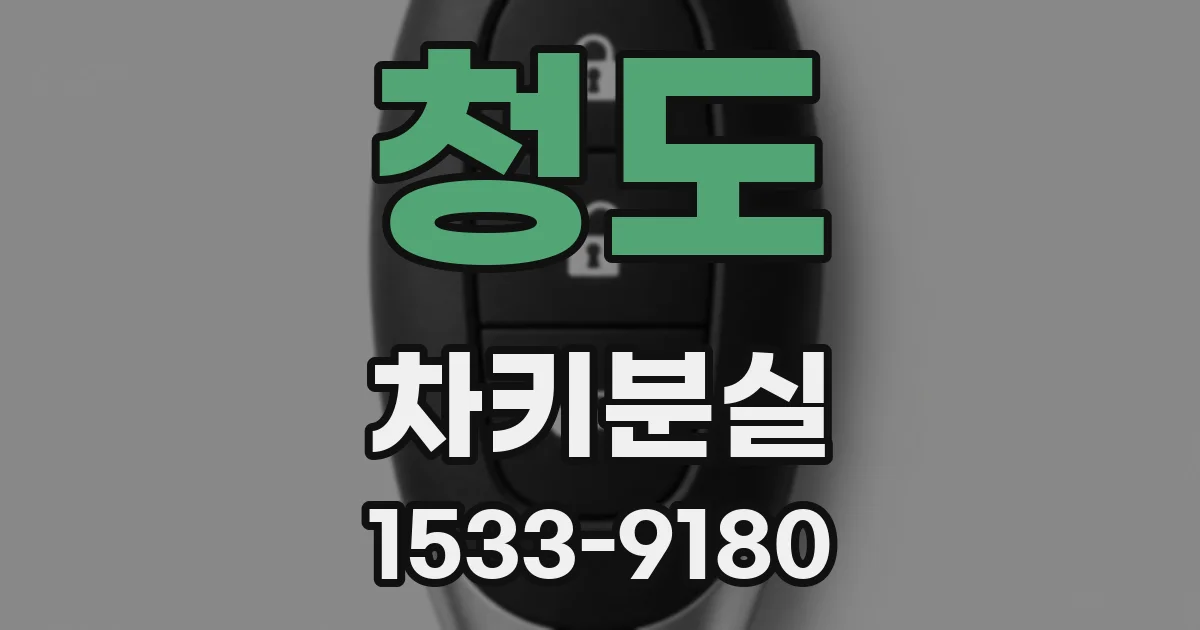 청도 차키분실