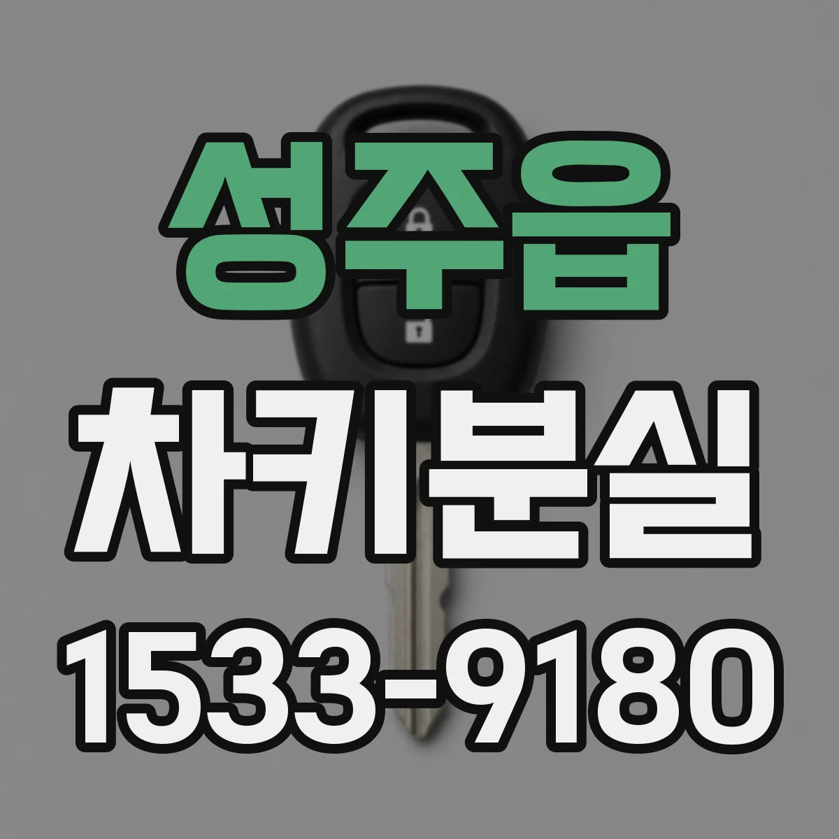 성주읍 차키분실