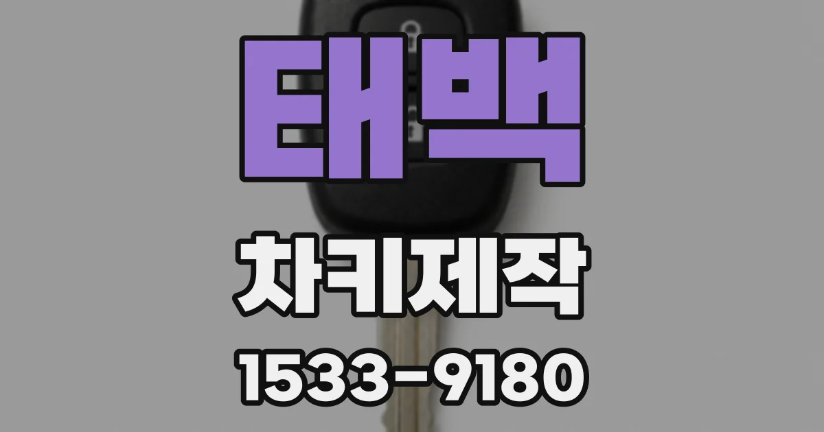 태백 차키제작