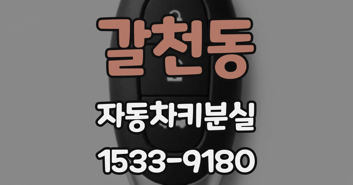 갈천동 자동차키분실