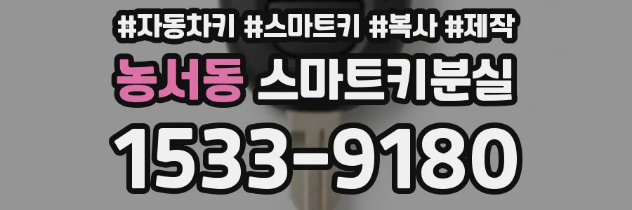 농서동 스마트키분실