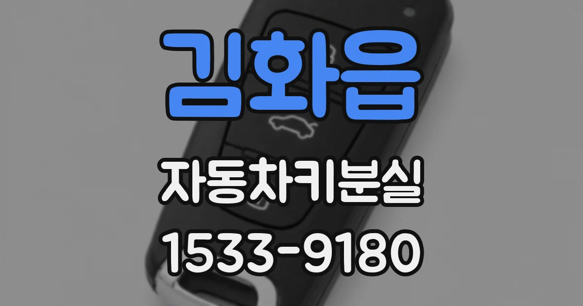 김화읍 자동차키분실
