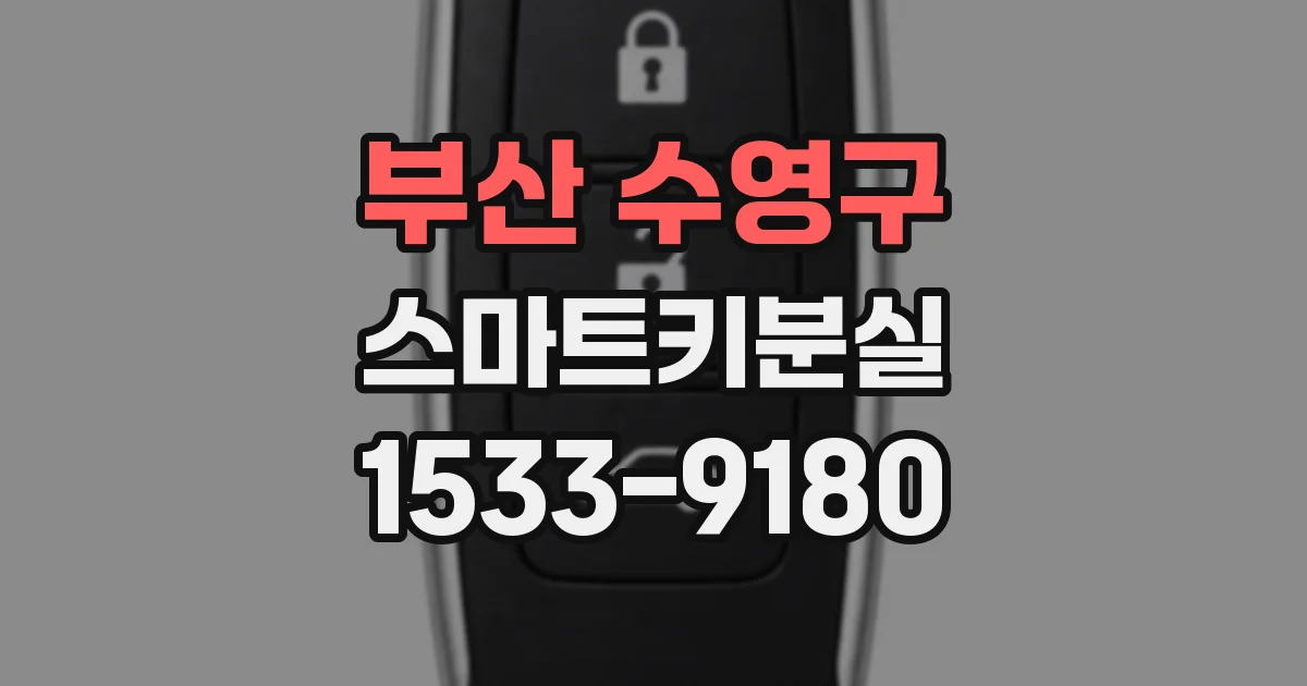 부산 수영구 스마트키분실