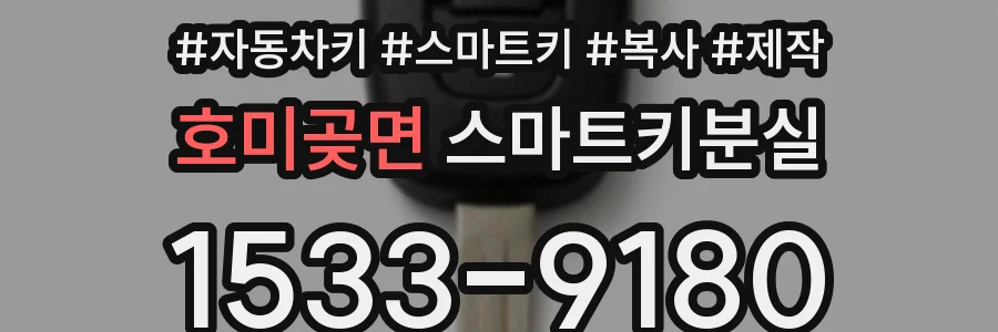 호미곶면 스마트키분실