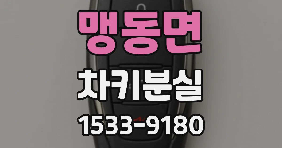 맹동면 차키분실