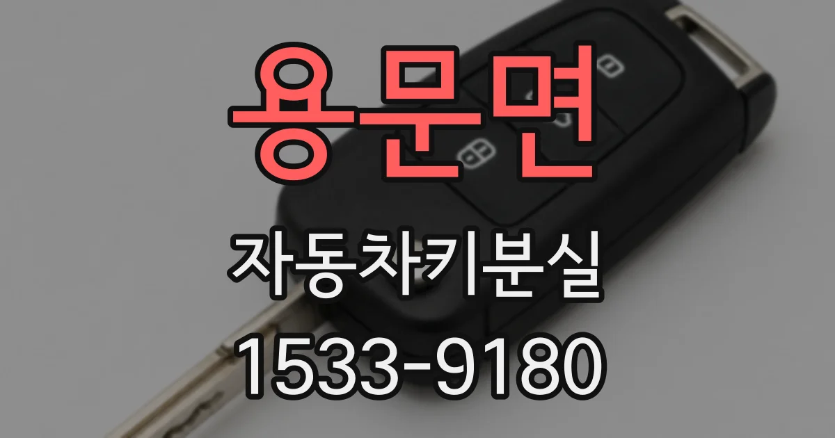 용문면 자동차키분실