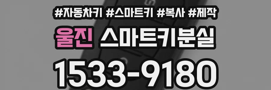 울진 스마트키분실